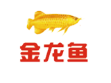 金龍魚